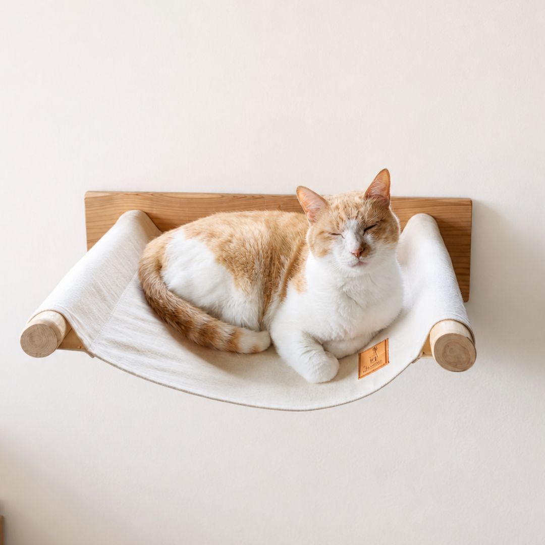 壁付け 猫ハンモック 天然木 無垢材 帆布 約10°傾き設計 石膏ボード