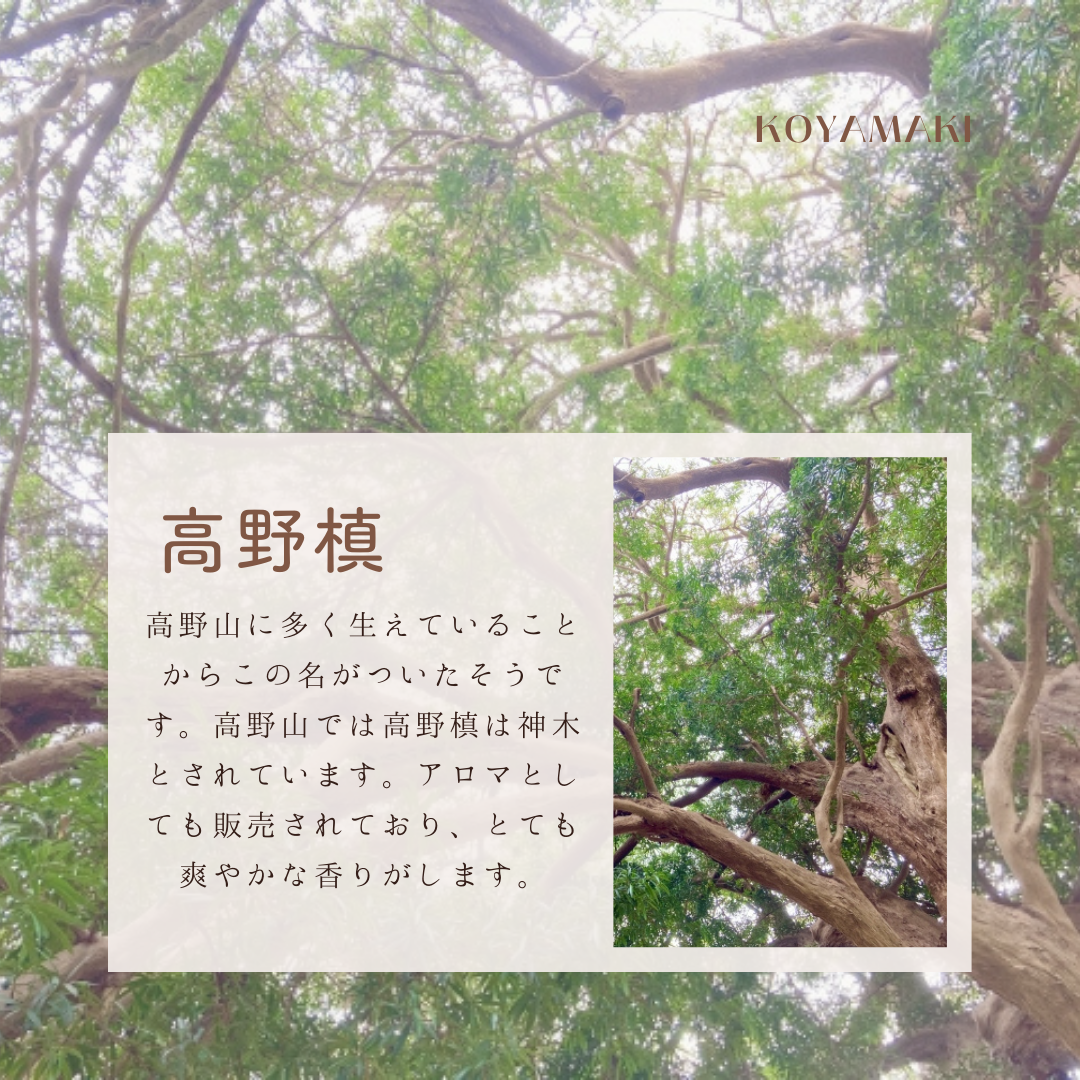 しゃれ木高野槙のログボウル(焼き加工なし) DURALEXガラスボウル付 ごはん台 フードボウル 餌台 エサ入れ 1個販売