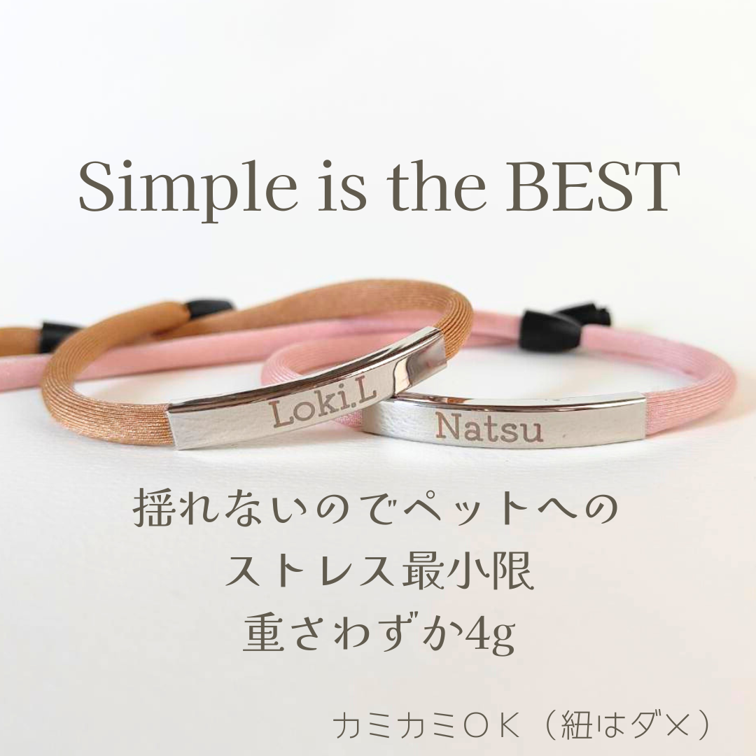 揺れない迷子札(ステンレスバージョン) ストレス最小限 おハゲ防止 わずか4g リニューアル紐 やわらか紐首輪 軽い・やわらか紐・安全バックル・迷子札付き