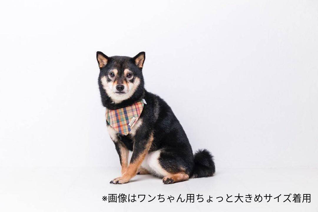 \長毛さん歓迎/ もふもふでも見える バンダナ首輪 オプション迷子札 セーフティバックル使用 【チェック】