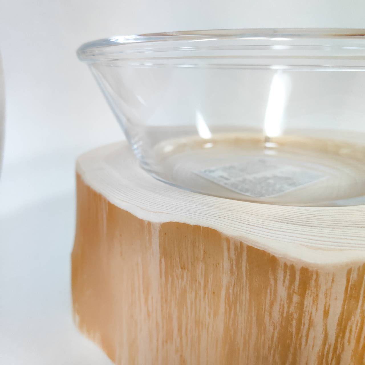 ガラスボウル大きめ フレッシュ高野槙のLog Bowl- 水飲み台 ごはん台 餌台