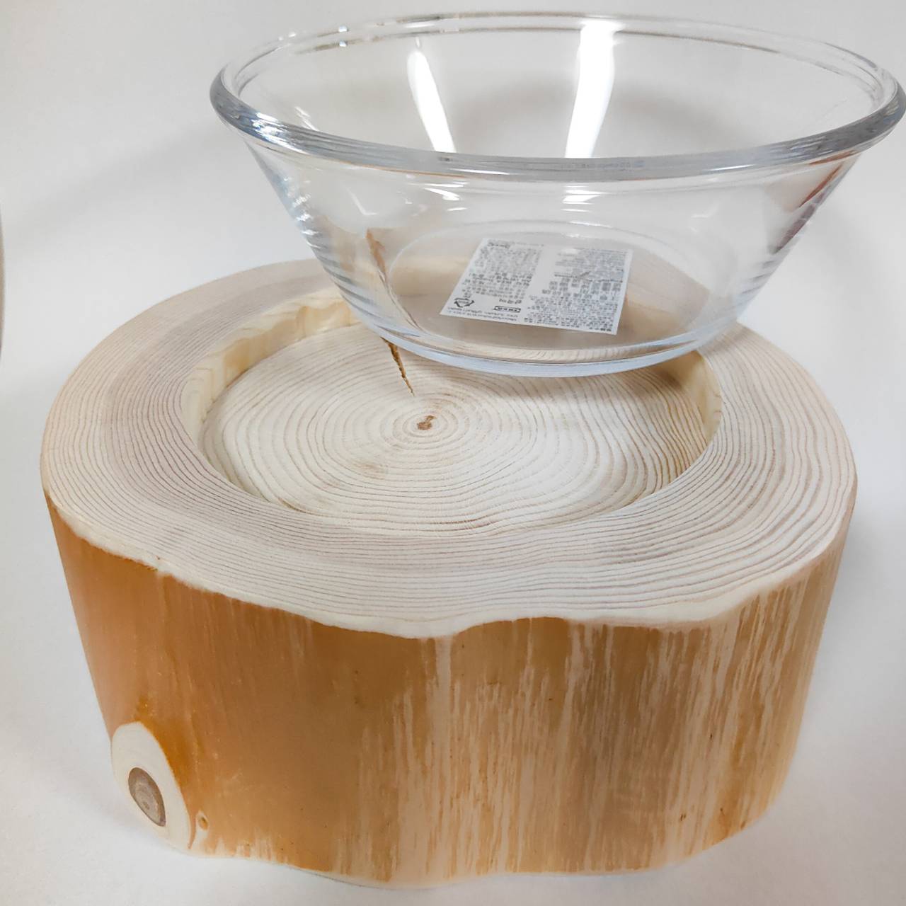 ガラスボウル大きめ フレッシュ高野槙のLog Bowl- 水飲み台 ごはん台 餌台