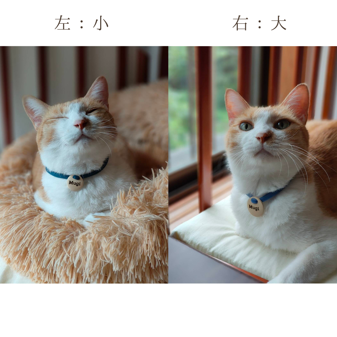 【丸型】ストレス最小限 <全20色> 揺れない迷子札!やわらか紐首輪 軽い・やわらか紐・安全バックル・迷子札付き アップサイクルヤーン使用 元祖シンプル