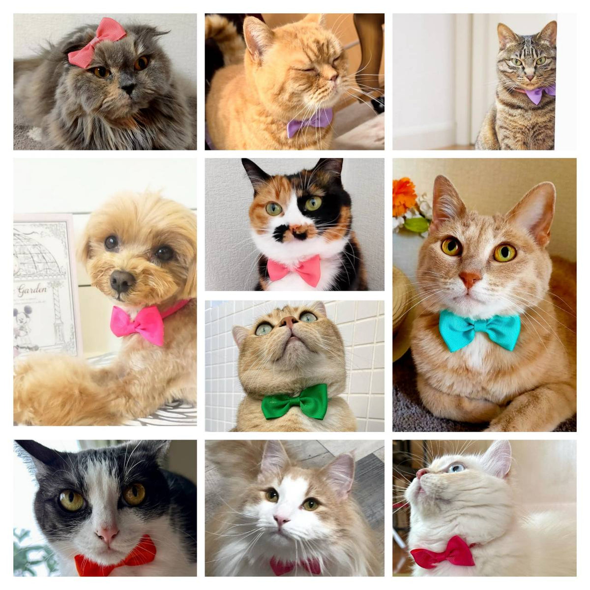 Stretchy Ribbon Collar, Decorative Collar, Collar, Scrunchie, Ribbon