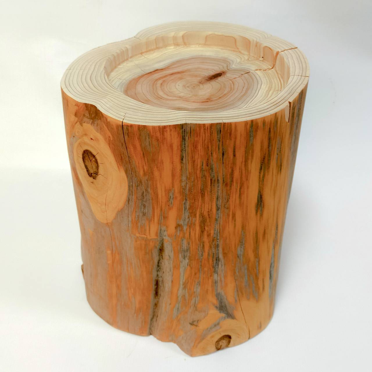 一点もの 中~大型犬用 高さ約30cm -杉の丸太のLog Bowl- 水飲み台 ごはん台 餌台
