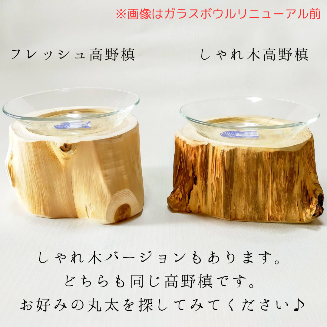 (M)フレッシュ高野槙のログボウル ごはん台 フードボウル 餌台 エサ入れ 1個販売