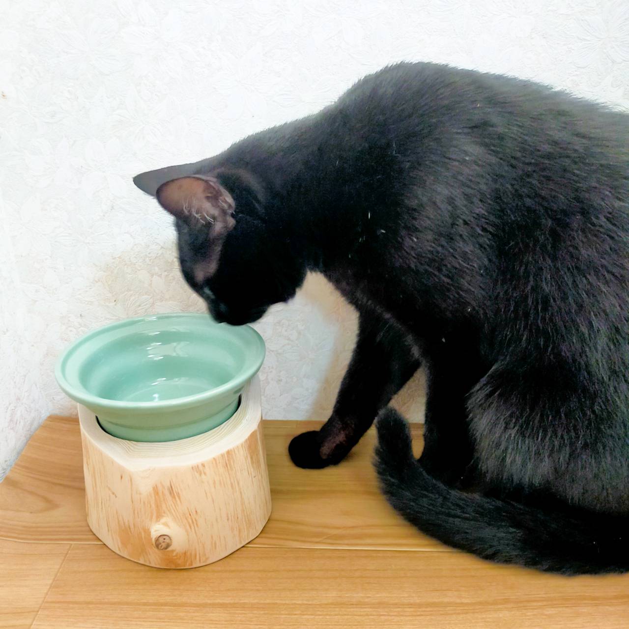 <丸太のみ販売> にゃんマグ! ヘルスウォーターボウルがピッタリ入る! フレッシュ高野槙のログボウル ごはん台 フードボウル 餌台 エサ入れ 1個販売