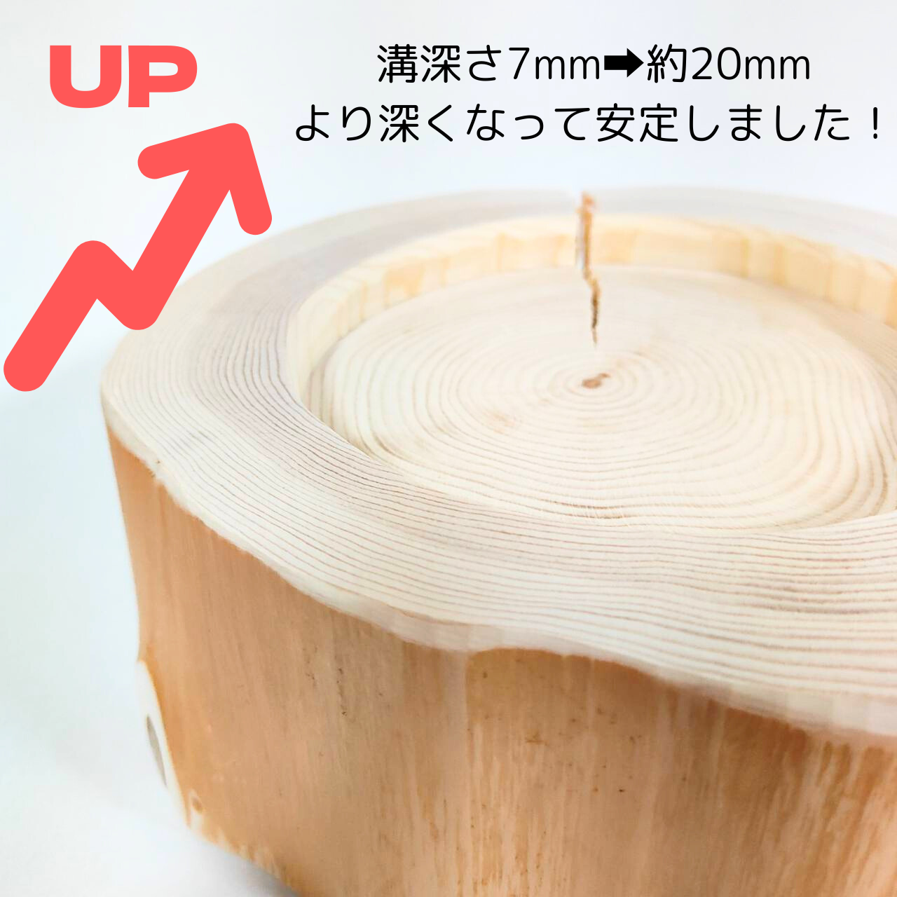ガラスボウル大きめ フレッシュ高野槙のLog Bowl- 水飲み台 ごはん台 餌台