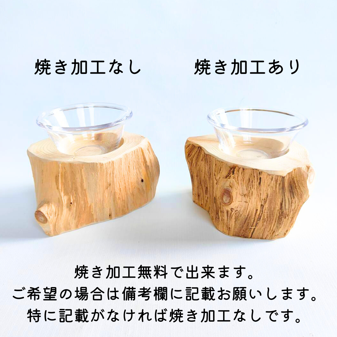 しゃれ木高野槙のログボウル(焼き加工なし) DURALEXガラスボウル付 ごはん台 フードボウル 餌台 エサ入れ 1個販売