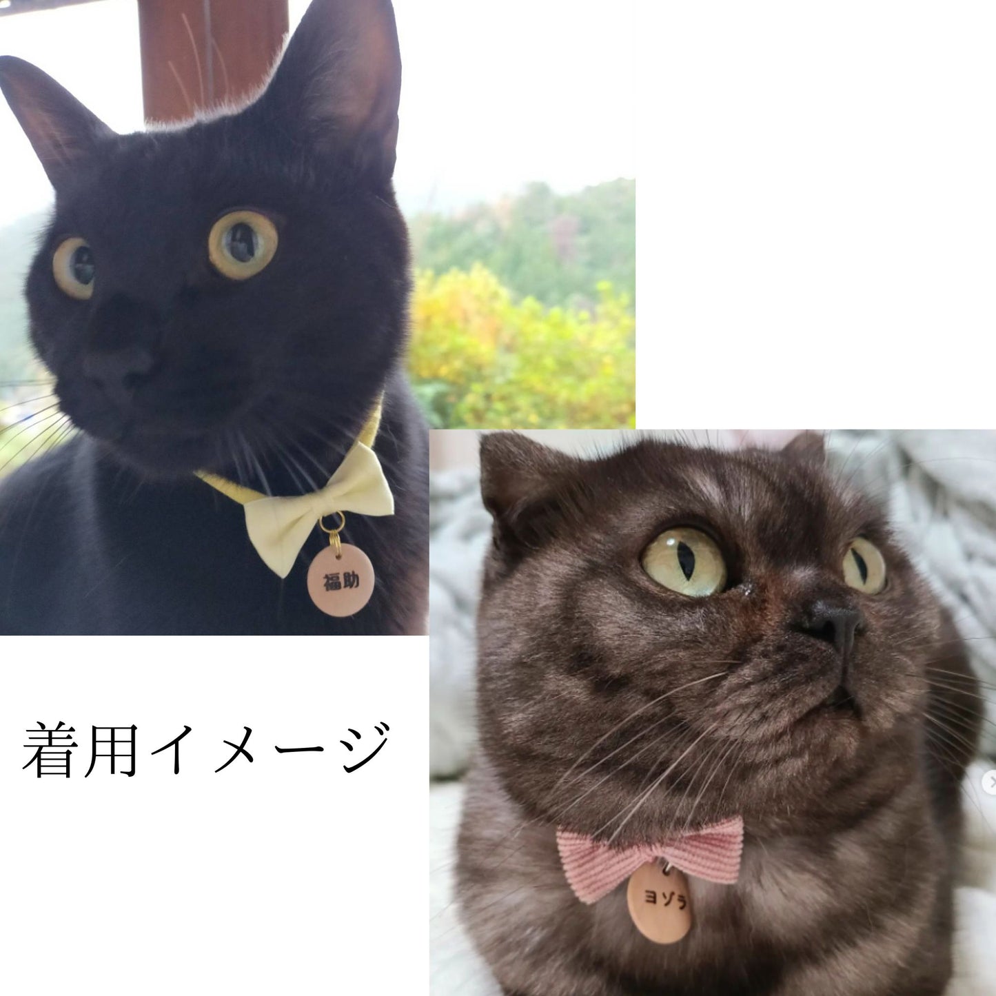 <全20色>コロンとまあるい迷子札付 ミニリボンのやわらか紐首輪 安全バックル 軽量 アップサイクルヤーン使用