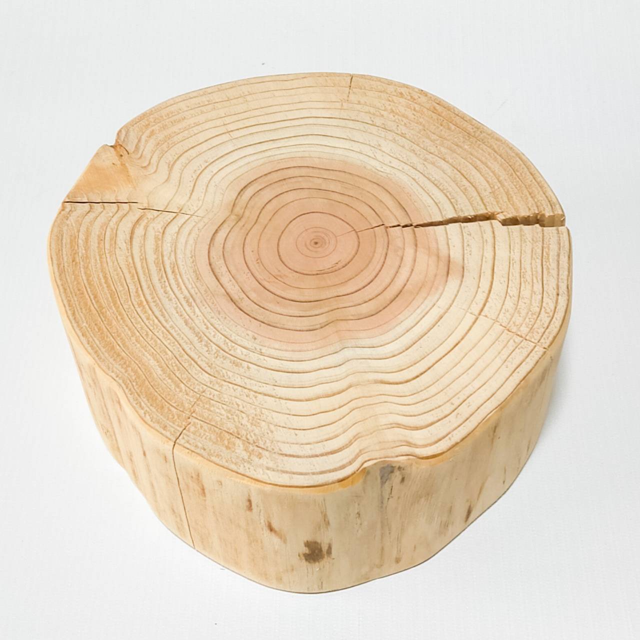 <shop限定>多頭飼い 小型犬~中型犬用 Log Bowl 水飲み台 ごはん台 フードボウル フードスタンド