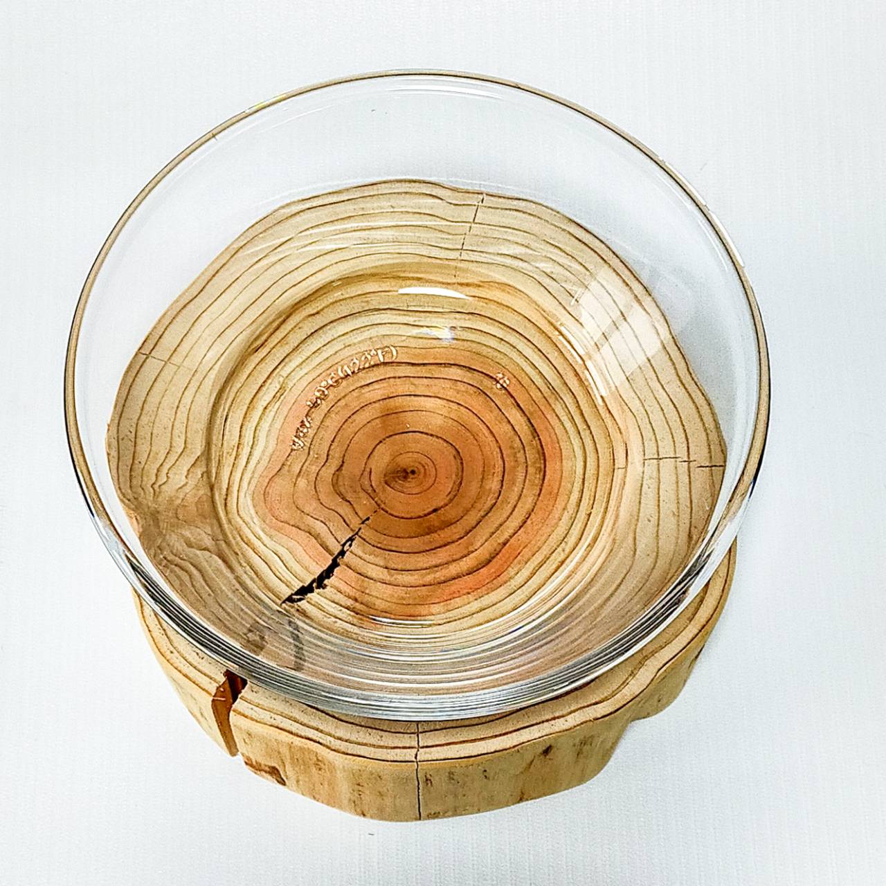 <shop限定>多頭飼い 小型犬~中型犬用 Log Bowl 水飲み台 ごはん台 フードボウル フードスタンド