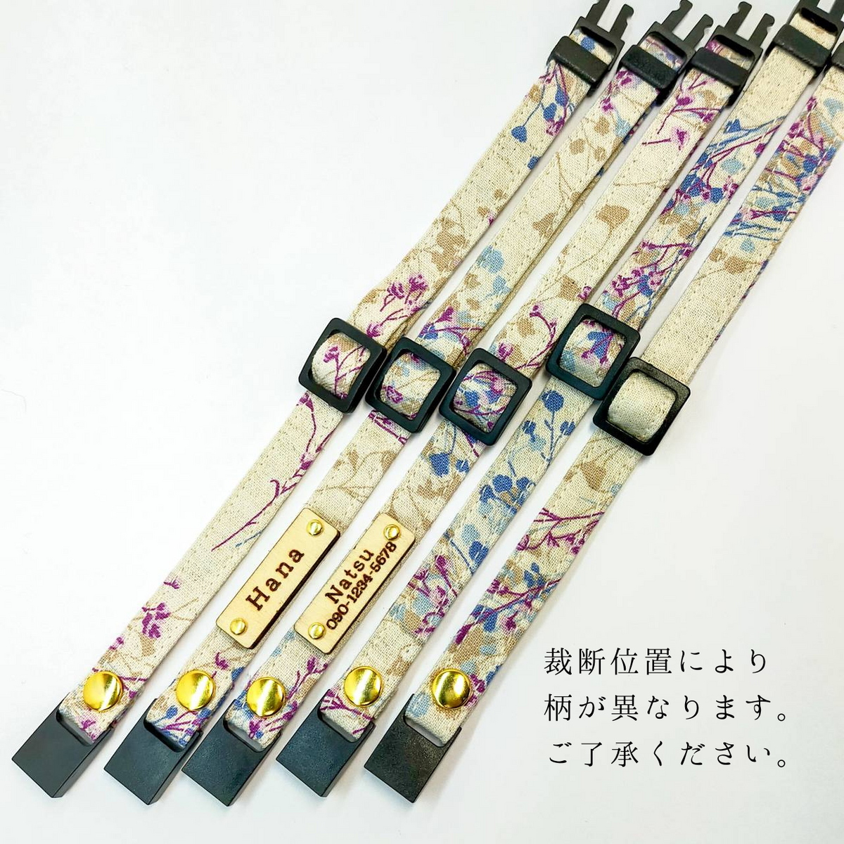 Gypsophila