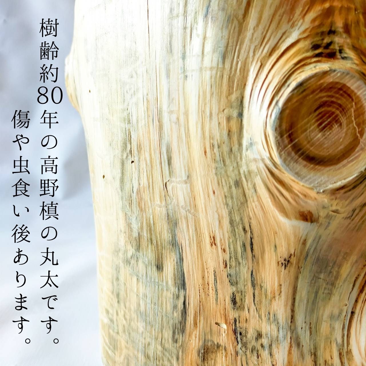 一点もの 大型犬用 高さ27cm -高野槙の丸太のLog Bowl- 水飲み台 ごはん台 餌台