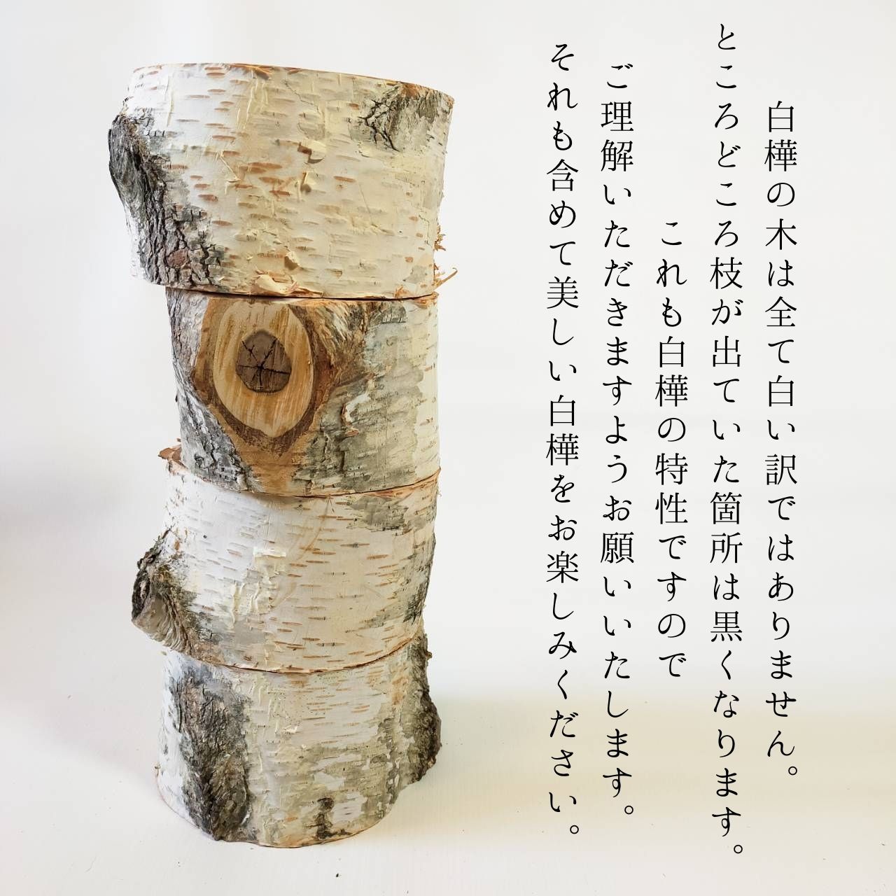 ごはん専用 白樺のログボウル ごはん台 フードボウル 餌台 エサ入れ 1個販売