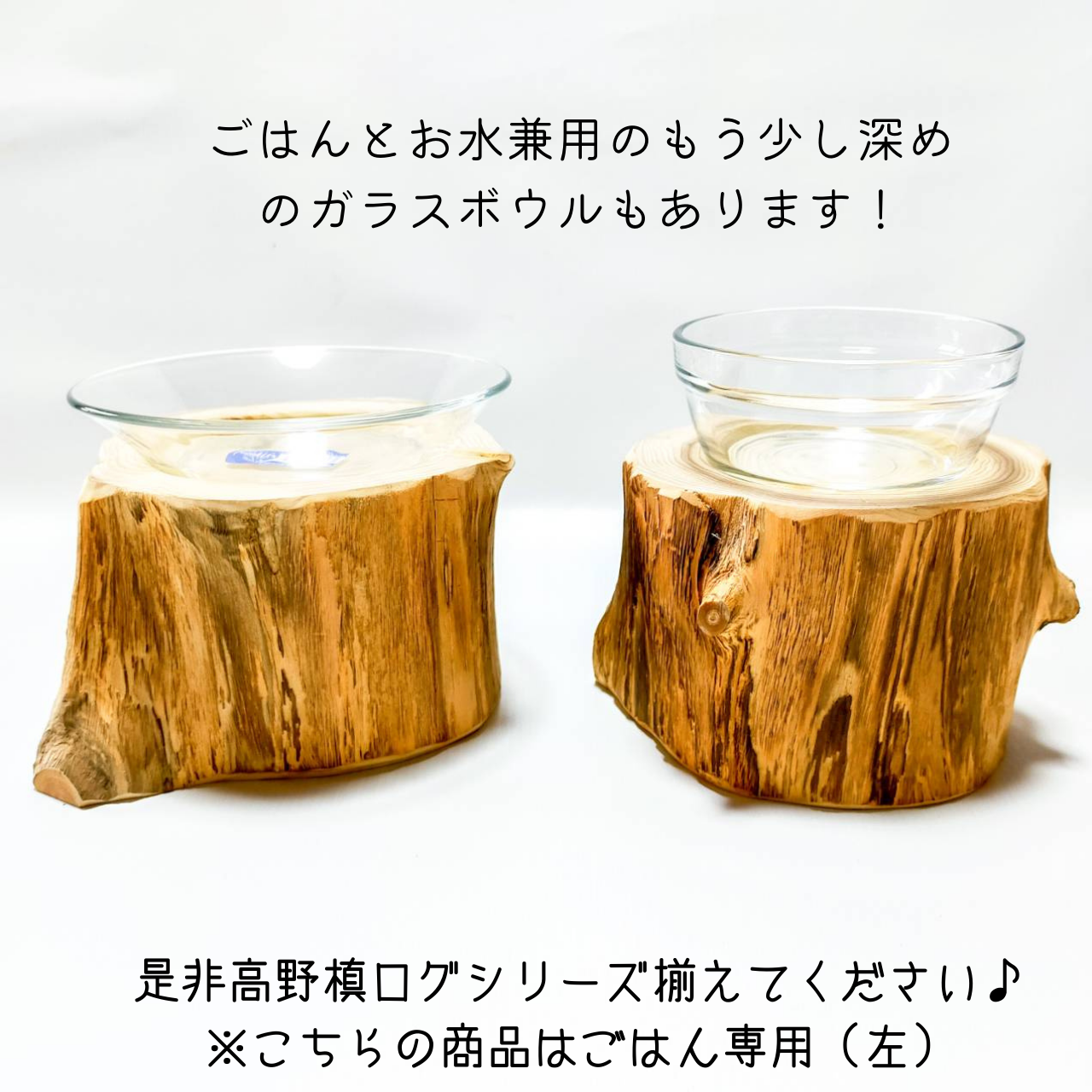高野槙のログボウル ごはん台 フードボウル 餌台 エサ入れ 1個販売