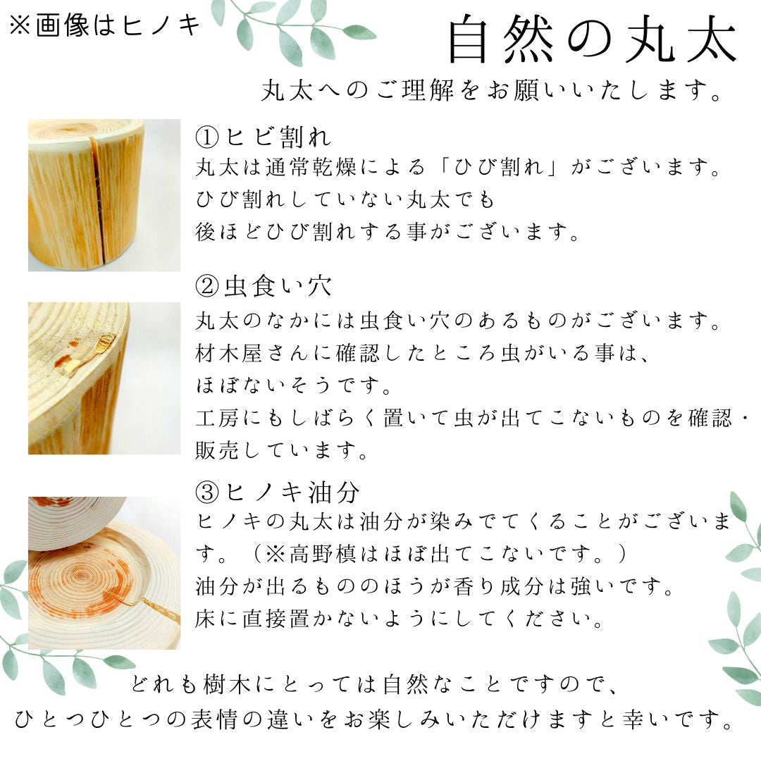 ステンレスボウル 犬用 高め -高野槙の丸太のLog Bowl- 水飲み台 ごはん台 餌台
