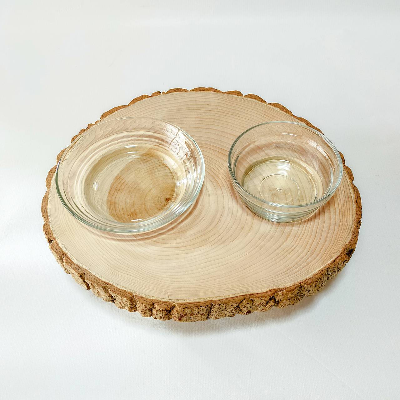 一点もの ごはんとお水 銀杏(イチョウ)の輪切り丸太のログボウル 水入れ フードボウル 餌台 エサ入れ