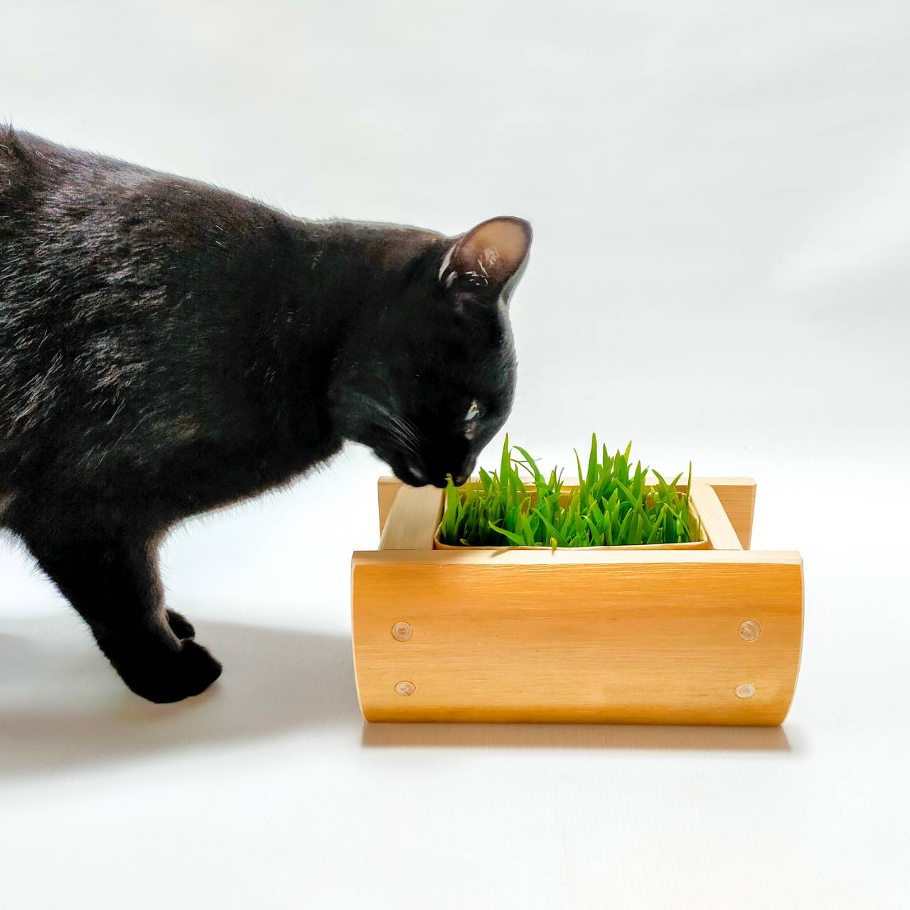 猫草ログホルダー ヒノキ杉混合 紀州材