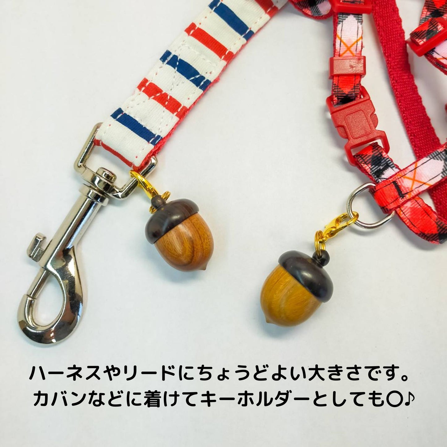どんぐり カプセル 猫 小型犬 中型犬 迷子札 連絡先 木製 メモリアル 乳歯 ひげ 遺骨