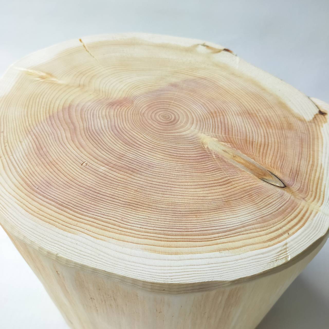 存在感あり1点もの ステンレスボウル 犬用 高め -高野槙の丸太のLog Bowl- 水飲み台 ごはん台 餌台