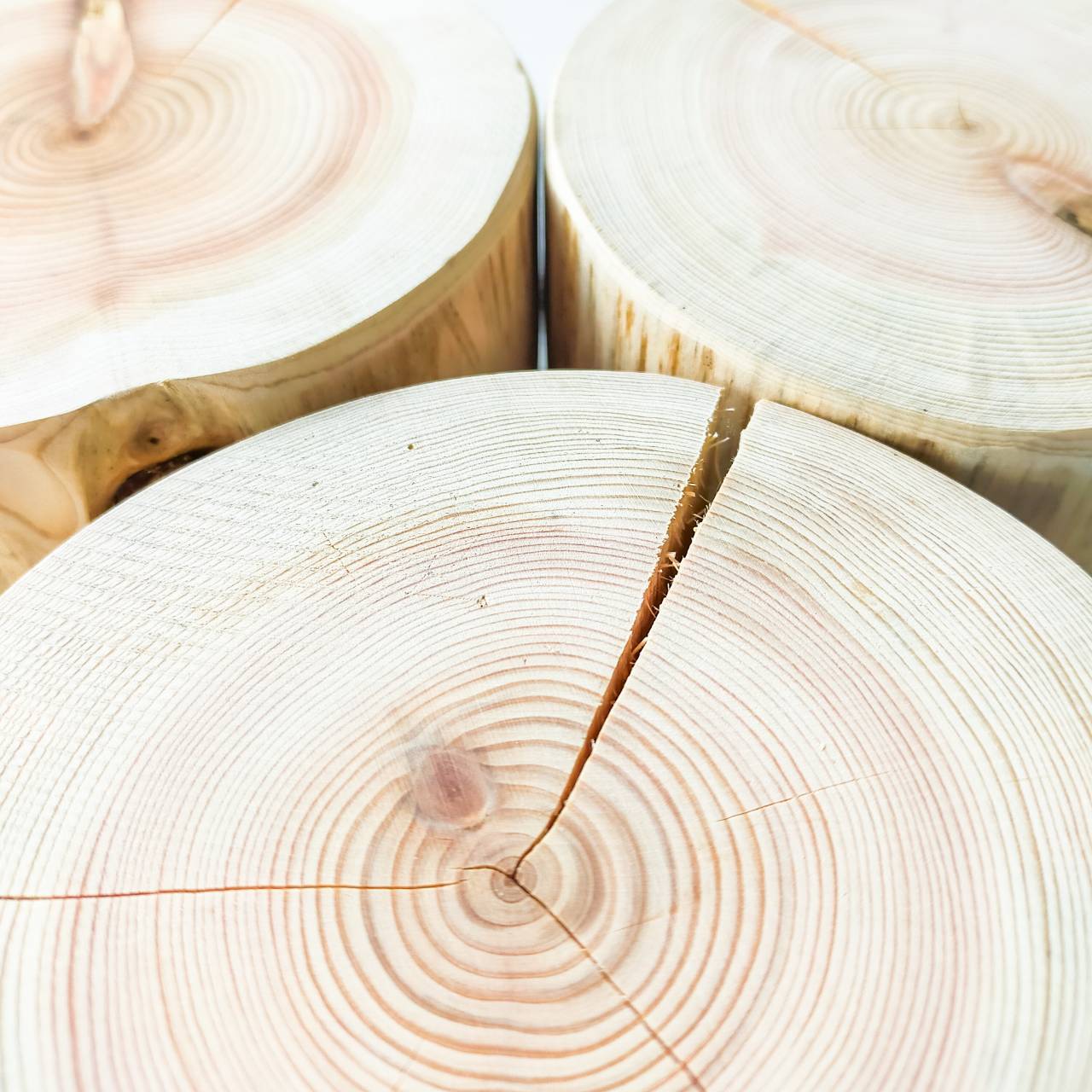 丸太のみ販売 高さ14cm ごはん専用ヒノキログボウル ごはん台 水入れ フードボウル 餌台 エサ入れ