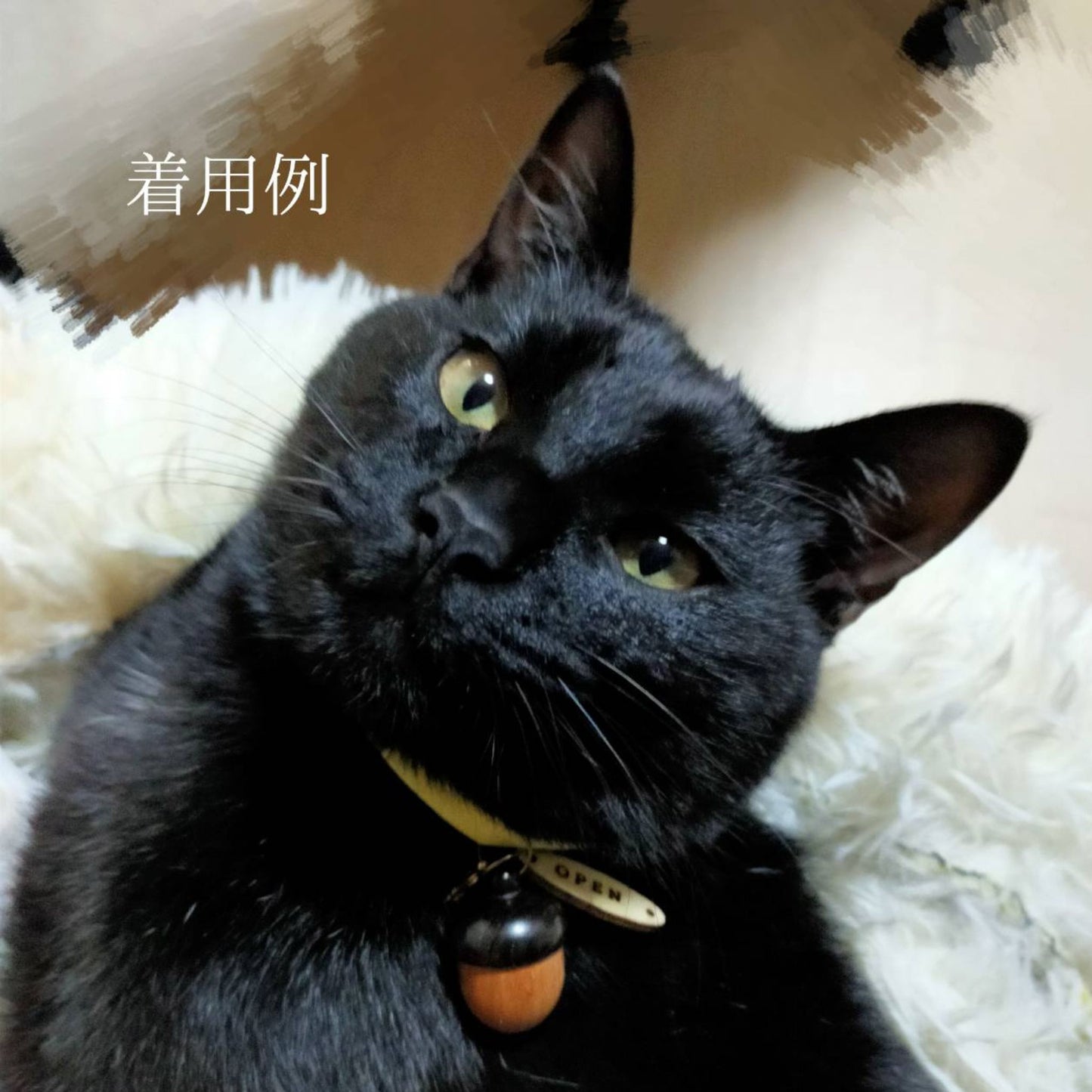 どんぐり カプセル 猫 小型犬 中型犬 迷子札 連絡先 木製 メモリアル 乳歯 ひげ 遺骨