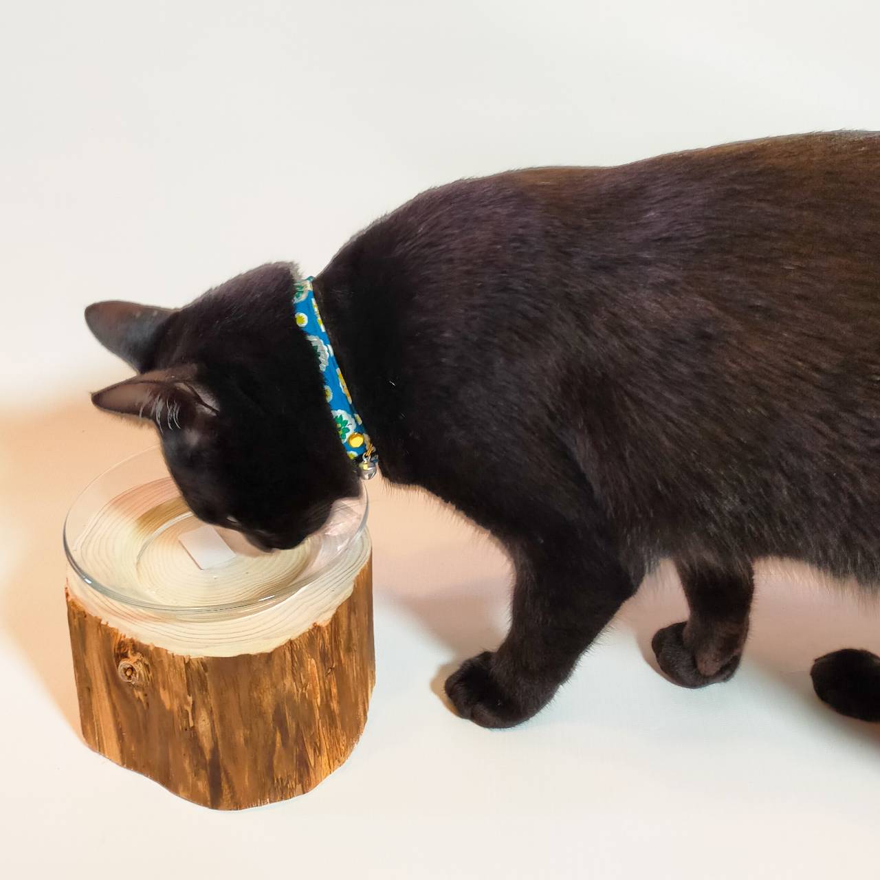 高野槙のログボウル ごはん台 フードボウル 餌台 エサ入れ 1個販売