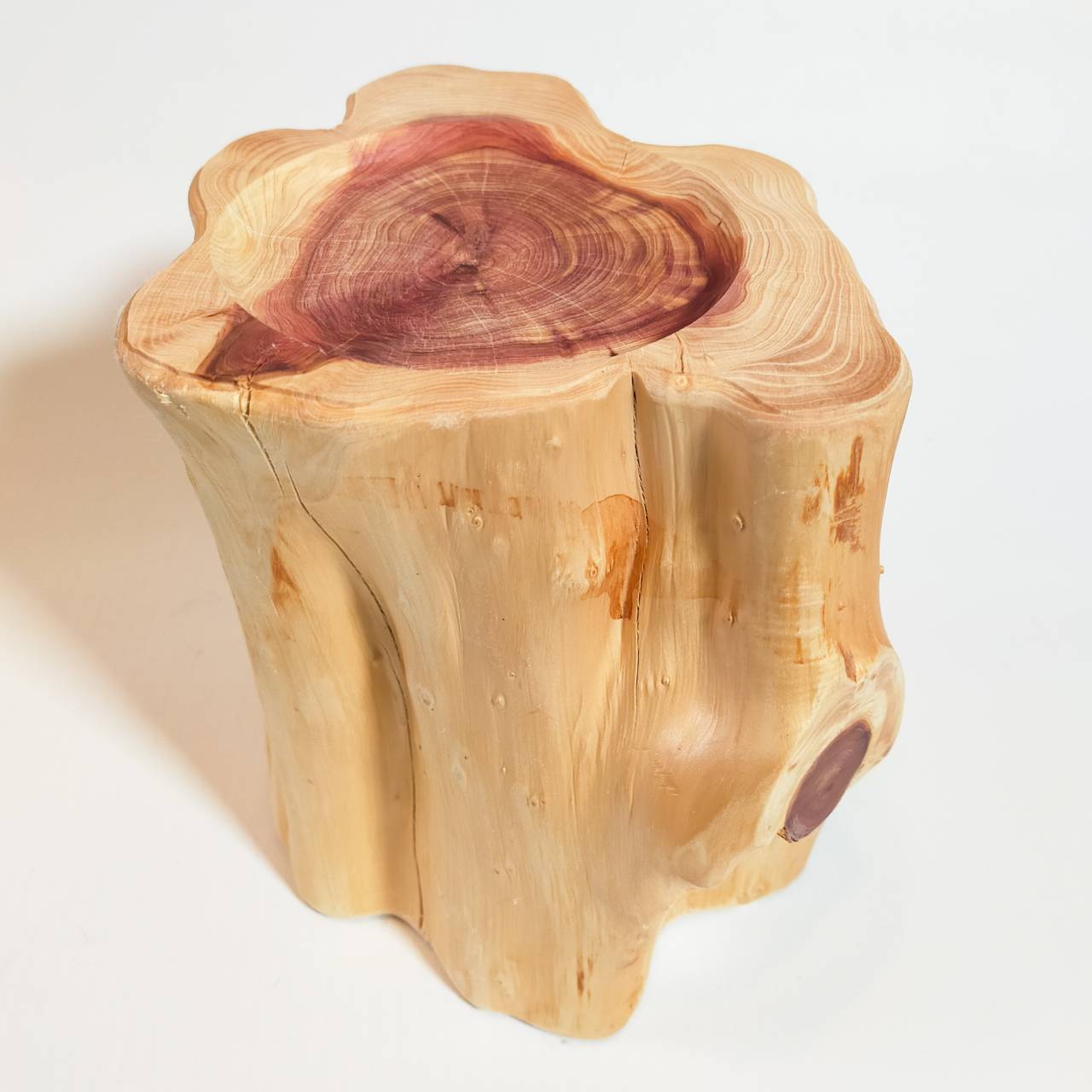 (限定仕入れ)⑥高さ18cm ごはん専用伊吹の丸太のペットテーブル 餌台 ごはん台 フードボウル