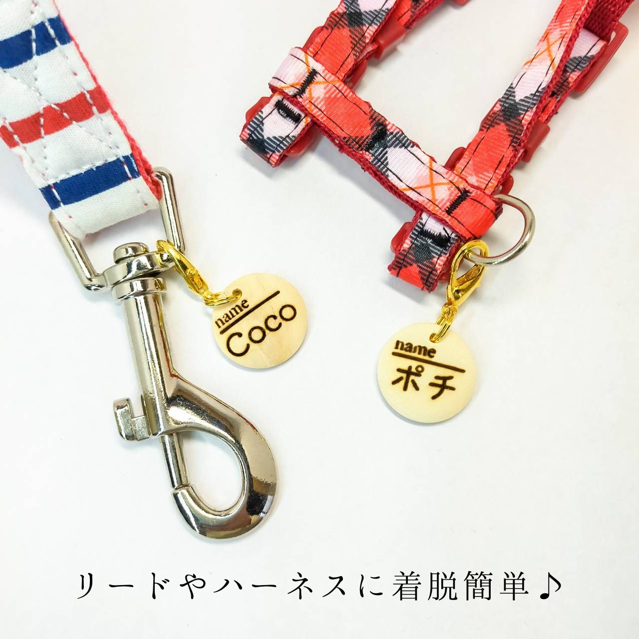 着脱簡単♪ お散歩用 コロンとまあるい木製迷子札 猫 犬 小型犬 迷子札 軽量 お名前 お電話番号 両面彫刻 オーダーメイド