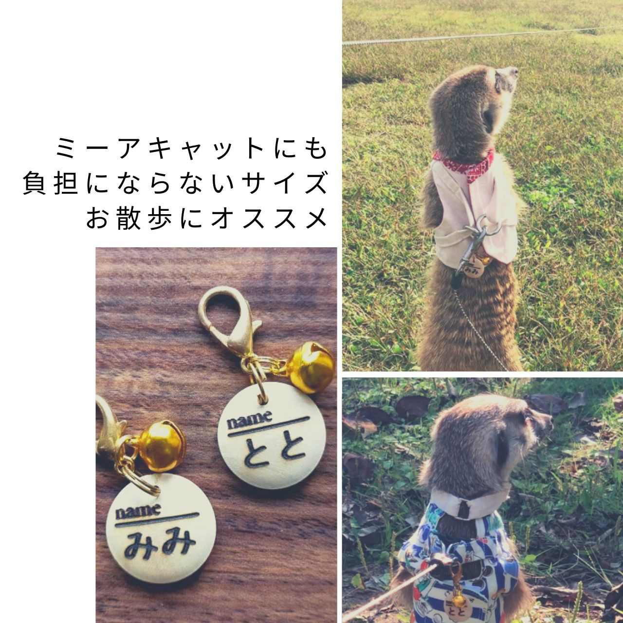 着脱簡単♪ お散歩用 コロンとまあるい木製迷子札 猫 犬 小型犬 迷子札 軽量 お名前 お電話番号 両面彫刻 オーダーメイド