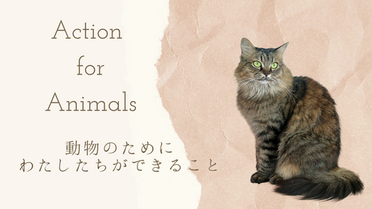 動物のためにわたしたちができること