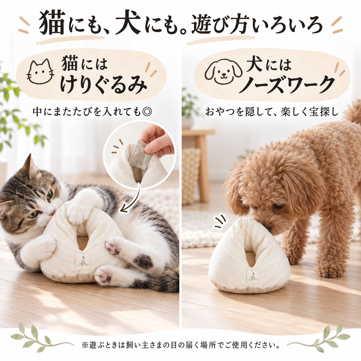 Mini Meringue｜ミニメレンゲ　キッカー　けりけり　ノーズワーク