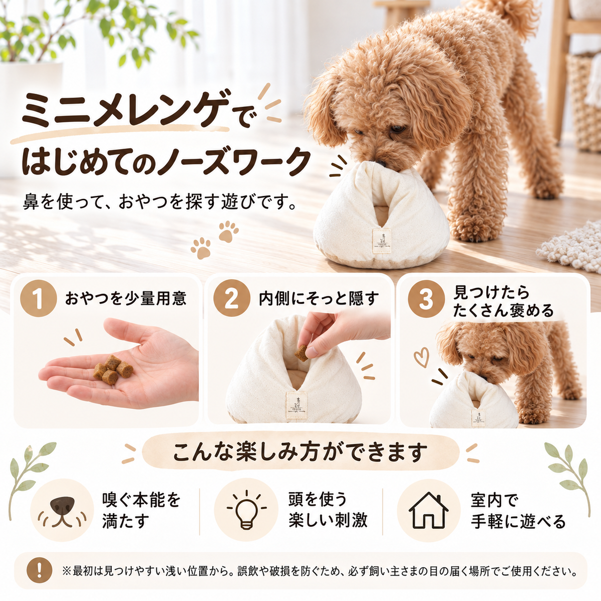 Mini Meringue｜ミニメレンゲ　キッカー　けりけり　ノーズワーク