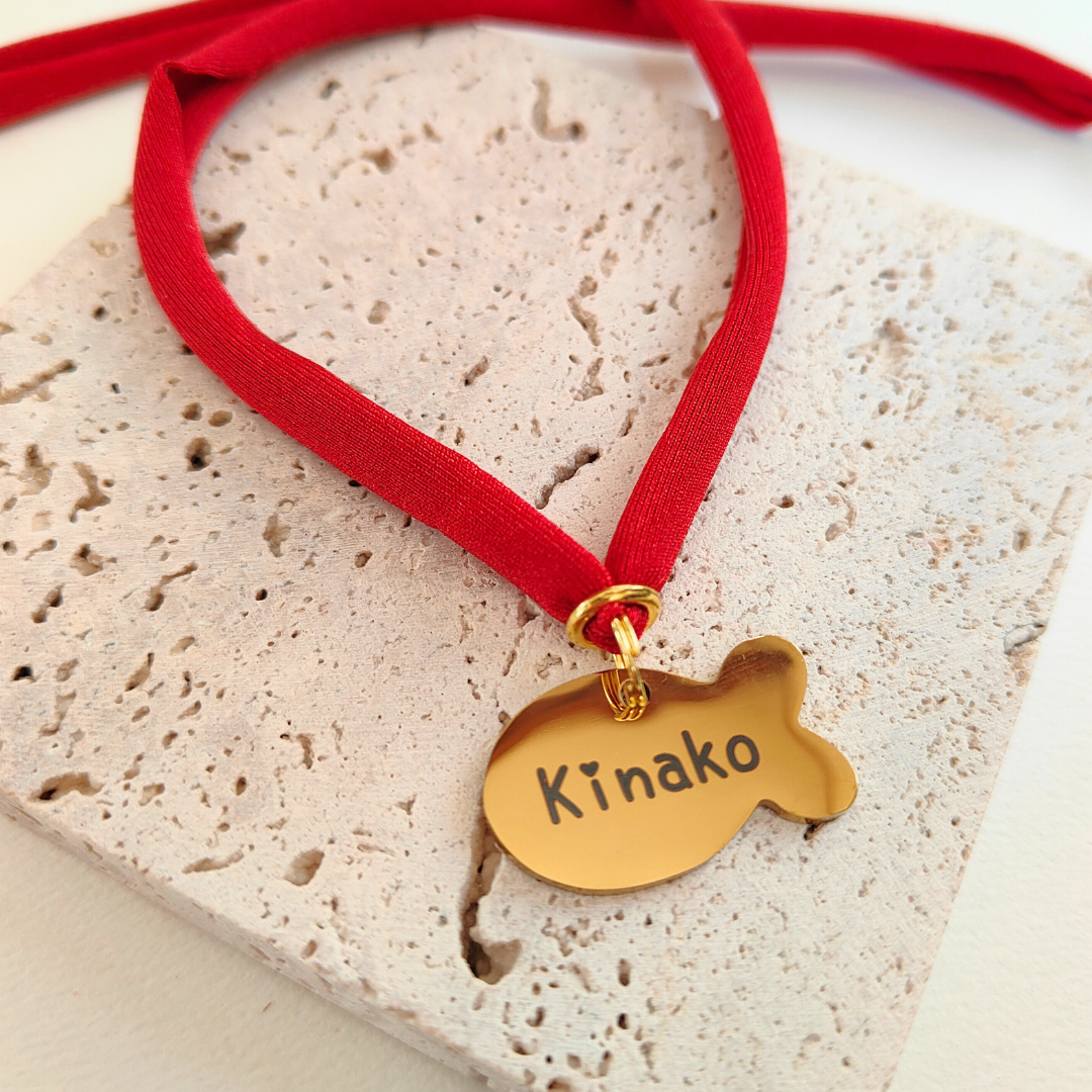 ズレない迷子札（さかな型）　ストレス最小限　おハゲ防止　リニューアル紐　ステンレス製　やわらか紐首輪　軽い・やわらか紐・安全バックル・迷子札付き