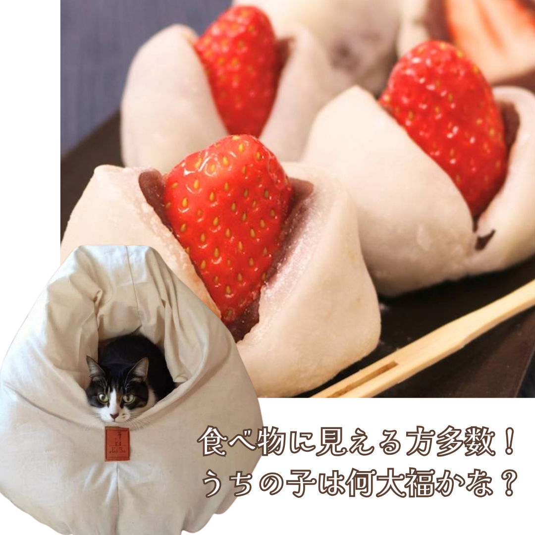 【予約販売】ふかふかお布団ベッド　送料無料　ペットベッド　猫ベッド　犬ベッド　ドーム型　半ドーム型　ふかふか　