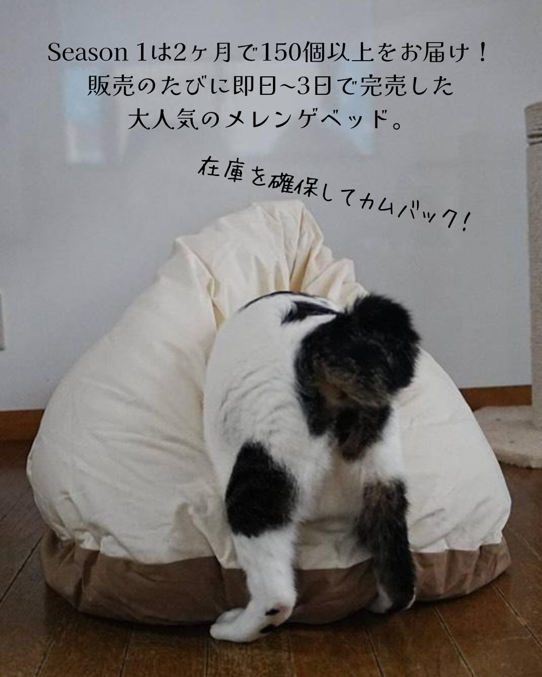 メレンゲベッド 800g仕様 送料無料 ペットベッド 猫ベッド 犬ベッド ドーム型 半ドーム型