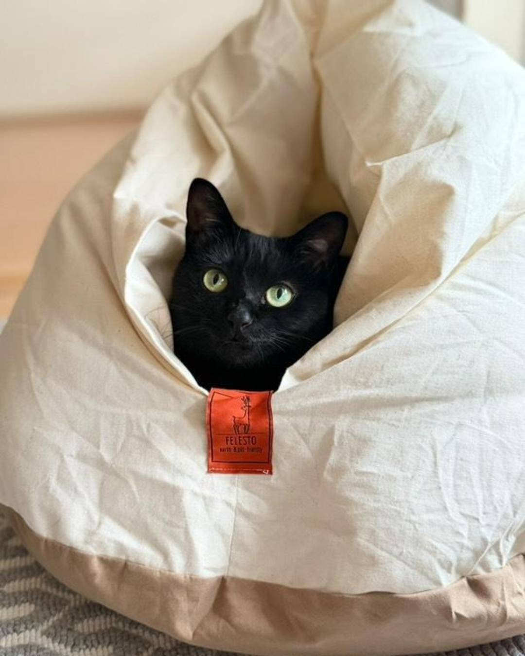 Felesto メレンゲベッド　ペット用ベッド クッション 販売開始】メレンゲベッド 送料無料 ペットベッド 猫ベッド 犬ベッド