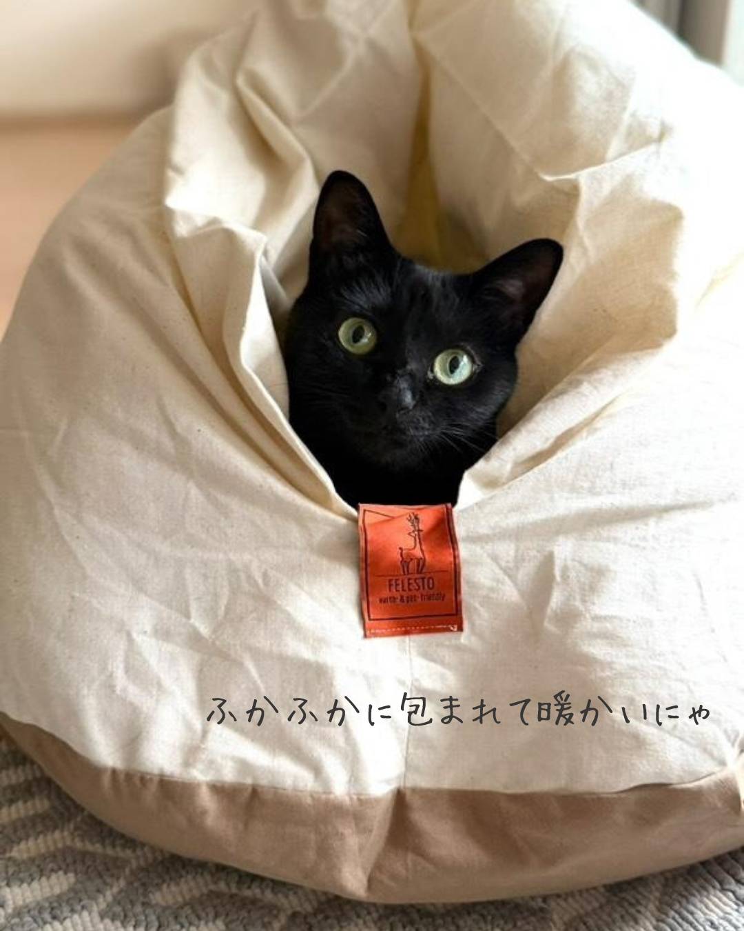 【予約販売】ふかふかお布団ベッド　送料無料　ペットベッド　猫ベッド　犬ベッド　ドーム型　半ドーム型　ふかふか　