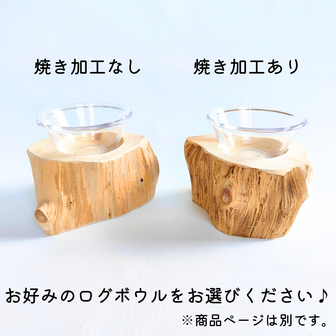 (S)しゃれ木高野槙のログボウル（焼き加工あり）　ごはん台　フードボウル　餌台　エサ入れ 1個販売