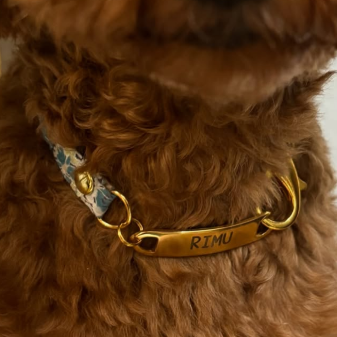 柄40種以上　【揺れないステンレス迷子札のチョーカー】　犬　猫　首輪　迷子札　ステンレス　首輪　チョーカー