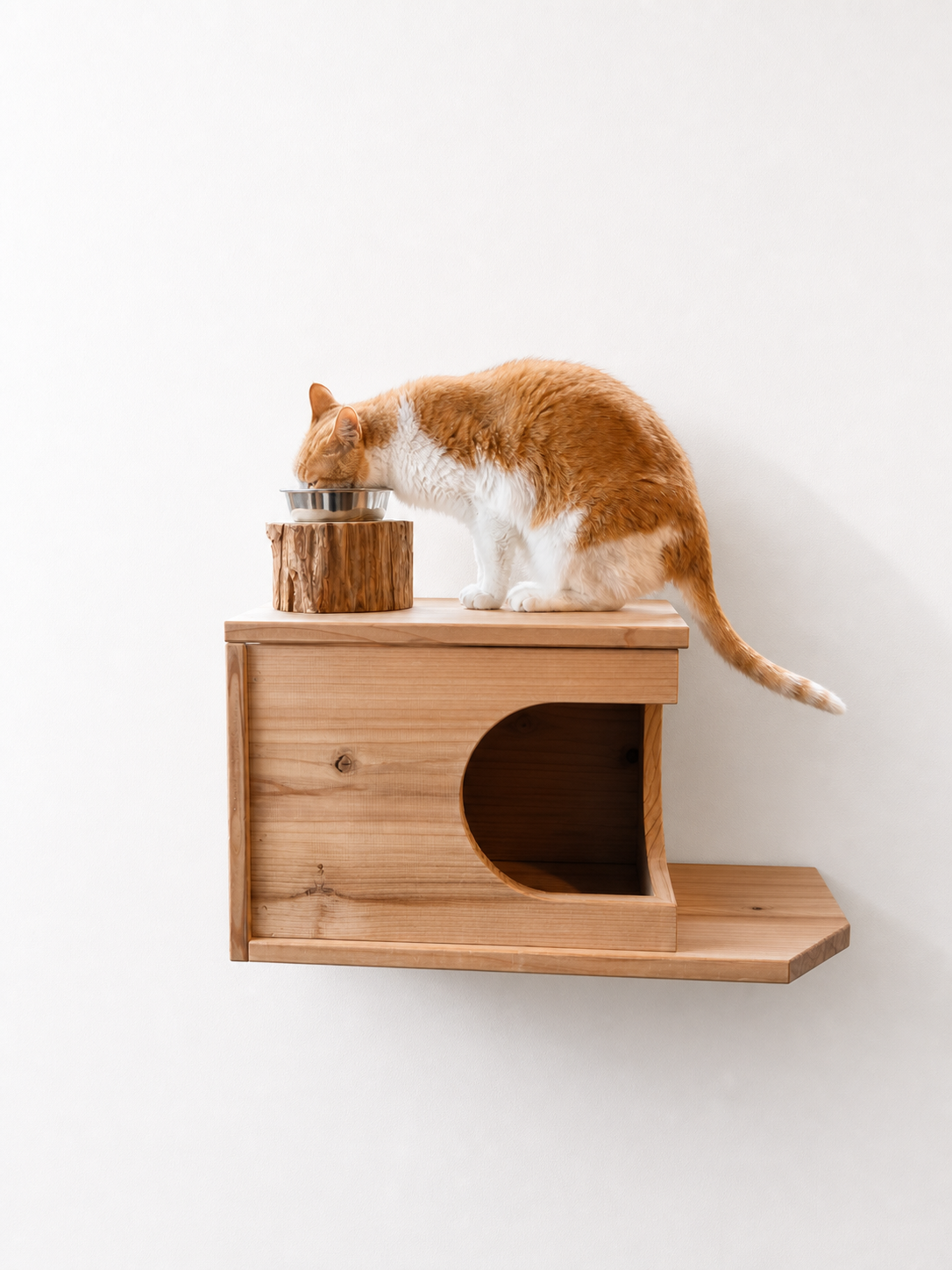 まだ販売前　Felesto 壁付けキャットハウス｜天然無垢材 専用クッション付き キャットステップ・キャットウォークにも