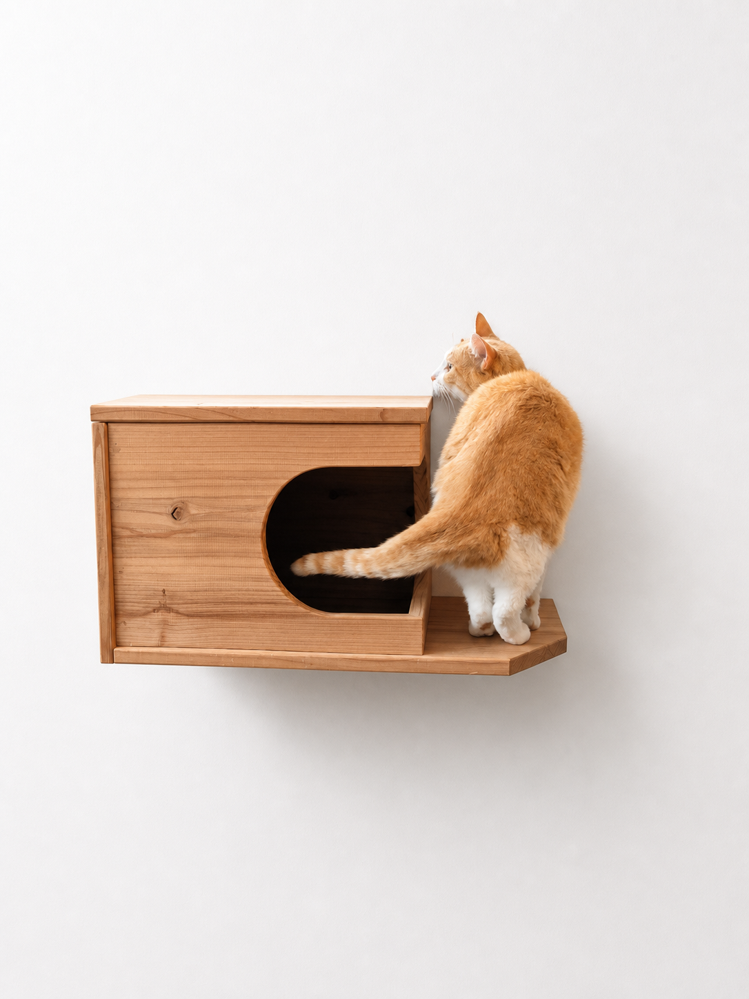 まだ販売前　Felesto 壁付けキャットハウス｜天然無垢材 専用クッション付き キャットステップ・キャットウォークにも