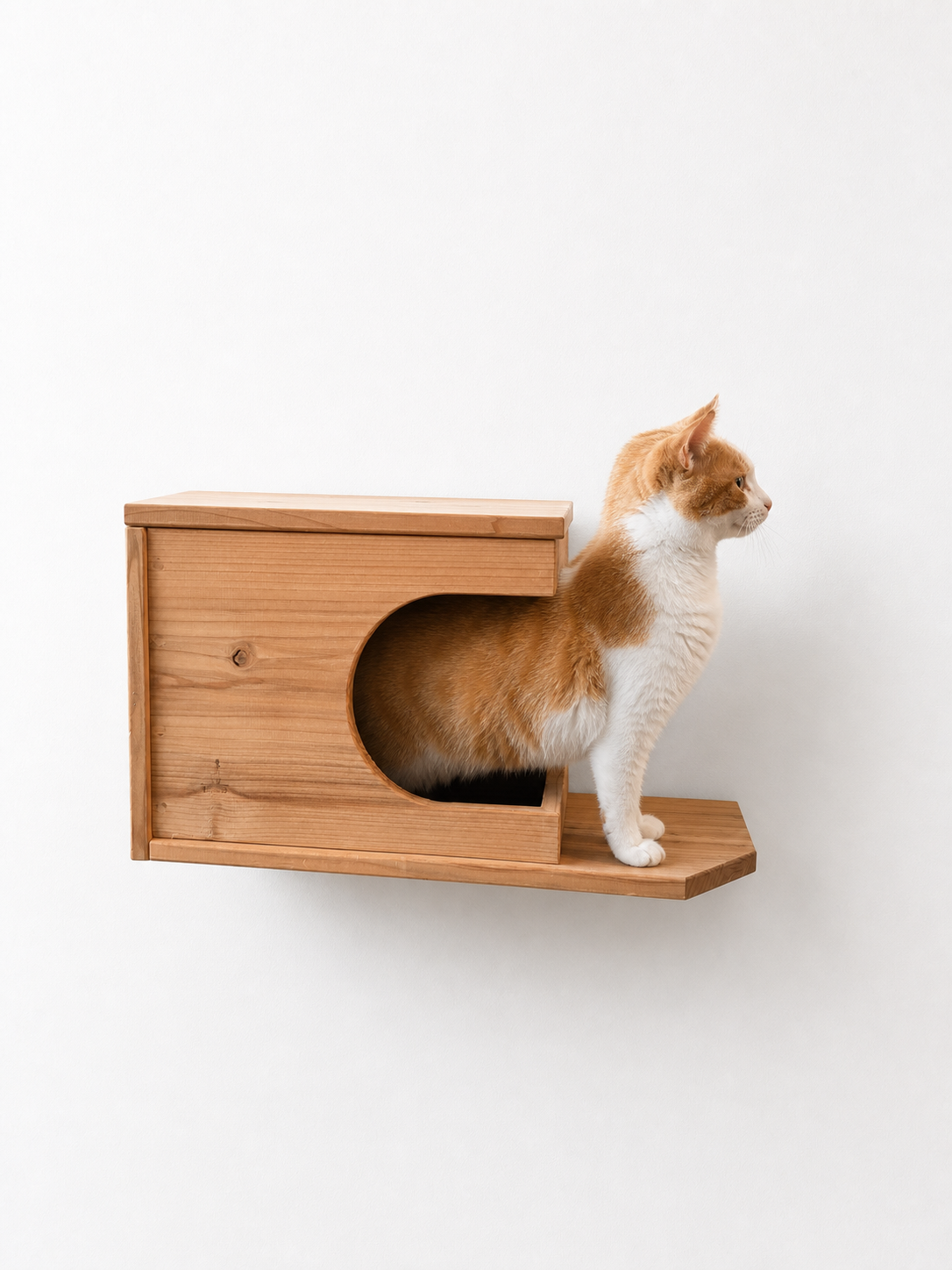 まだ販売前　Felesto 壁付けキャットハウス｜天然無垢材 専用クッション付き キャットステップ・キャットウォークにも