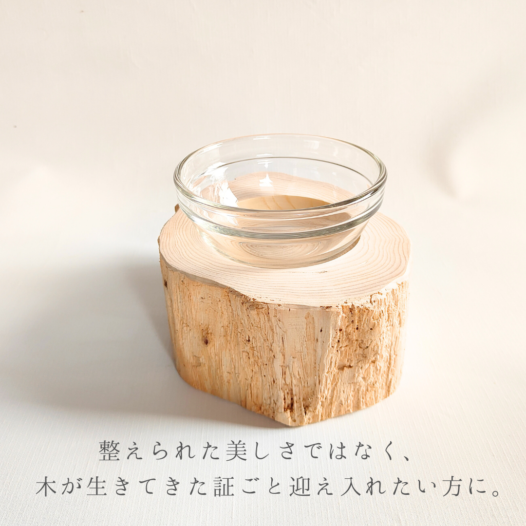 【アウトレット20％OFF】　表情豊かなしゃれ高野槙のログボウル　ごはん台　フードボウル　餌台　エサ入れ 1個販売　ランダム配送