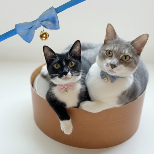 ミニリボンのやわらか紐首輪　ストレッチ性あり　猫　首輪　セーフティバックル　安全　軽量　紐　おしゃれ　かわいい