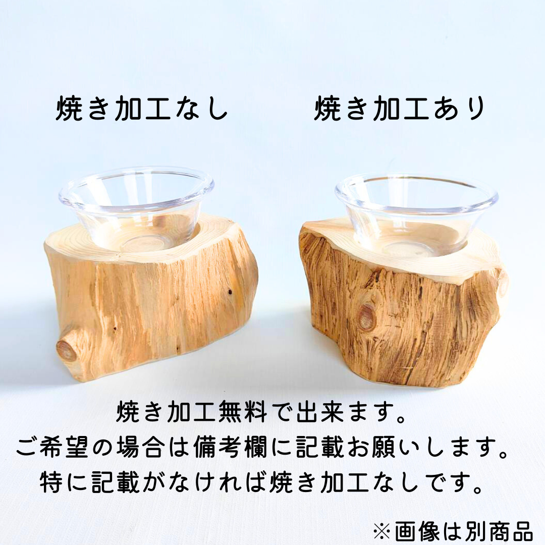 アウトレット　(M)しゃれ木高野槙のログボウル　ごはん台　フードボウル　餌台　エサ入れ 1個販売