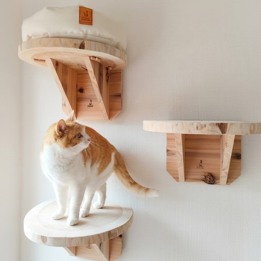 まだ販売前　送料無料【限定販売】職人仕上げの天然杉・輪切りキャットステップ