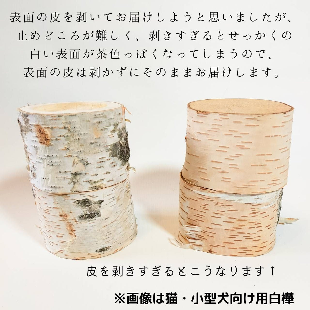 stainless bowl koyamaki dog log bowl pet table <Sciadopitys verticillata>