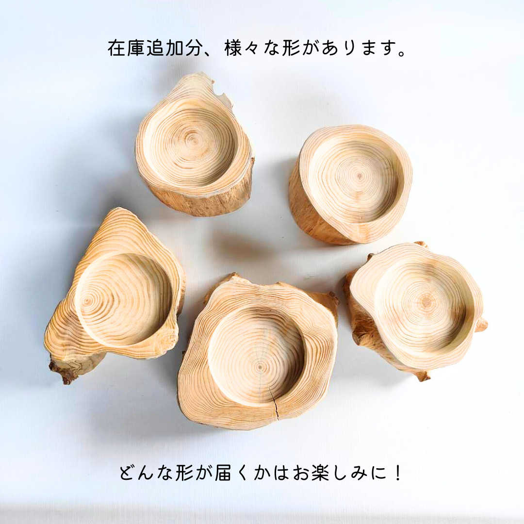 アウトレット　(M)しゃれ木高野槙のログボウル　ごはん台　フードボウル　餌台　エサ入れ 1個販売